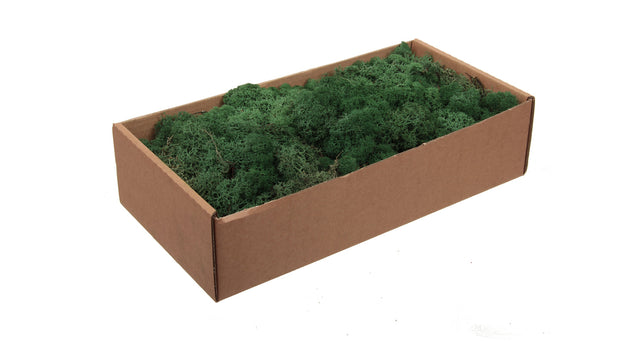 W b. finnland moss moss-green 500gr.