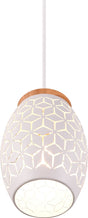 Rl live your light reality bidar - hanglamp - wit mat - excl. 1x e27 28w