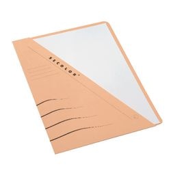 Włóż folder secolor djois a4 chamois