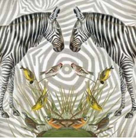 Karta+koperta zebra. 16x16cm