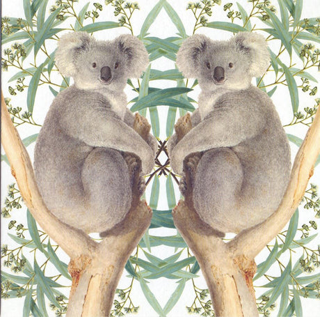 Kartka + koperta misie koala. 16x16cm