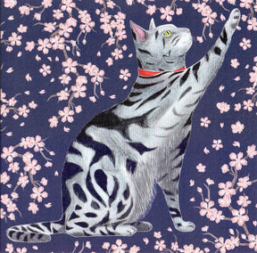 Karta+koperta. kotek Sakura. 16x16cm