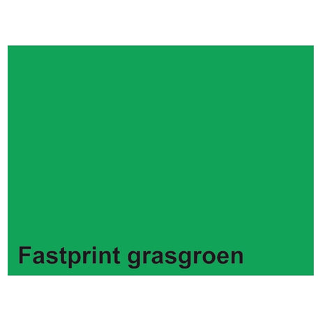 Papier kserokopiarski Quantore Fastprint a4 160gr trawa zielona 50 arkuszy