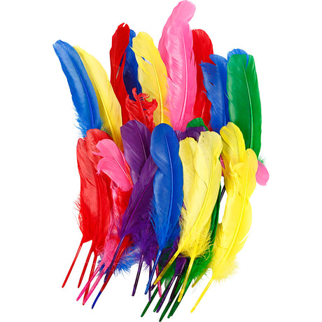 Firma Creativ https: www.cchobby.nl pióra-l-20-cm-różne-kolory-36-części-1-pudełko