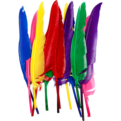 Firma Creativ https: www.cchobby.nl pióra-l-27-cm-różne-kolory-12-części-1-pudełko