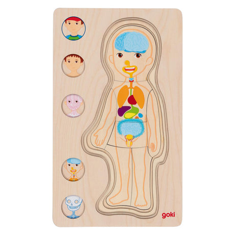 GOKI Drewniana warstwa Puzzle Human Body Boy, 29st.