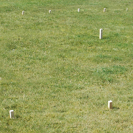 GOKI Chess Game Kubb Vikingen Medium