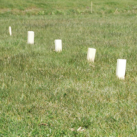 GOKI Chess Game Kubb Vikingen Medium