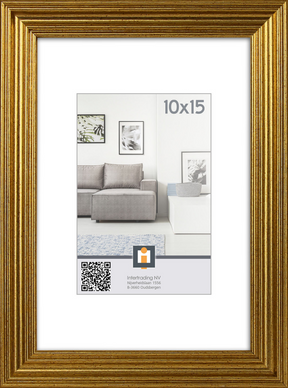 Fotolijst salerno 10x15cm - goud