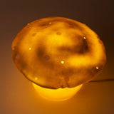 Lampa Egmont grzybek złota + ściemniacz.