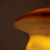 Lampa Egmont grzybowa czekoladowa + ściemniacz