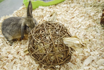 Natura, pierwsza szczęśliwa wierzba-zabawka dla zwierząt domowych