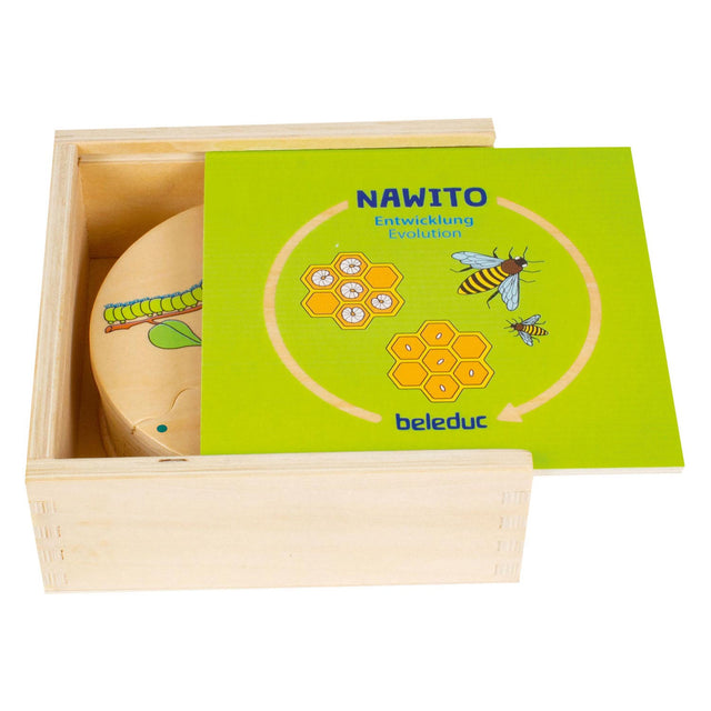 Drewniana gra dla dzieci Beleduc nawito Nature Evolution
