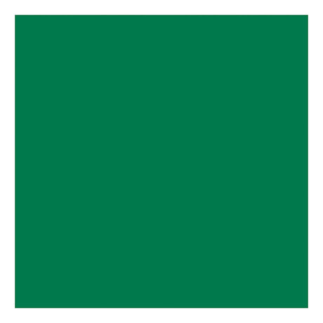 Creativ Company Tissue Paper Green 10 arkuszy 14 gr, 50 x 70 cm