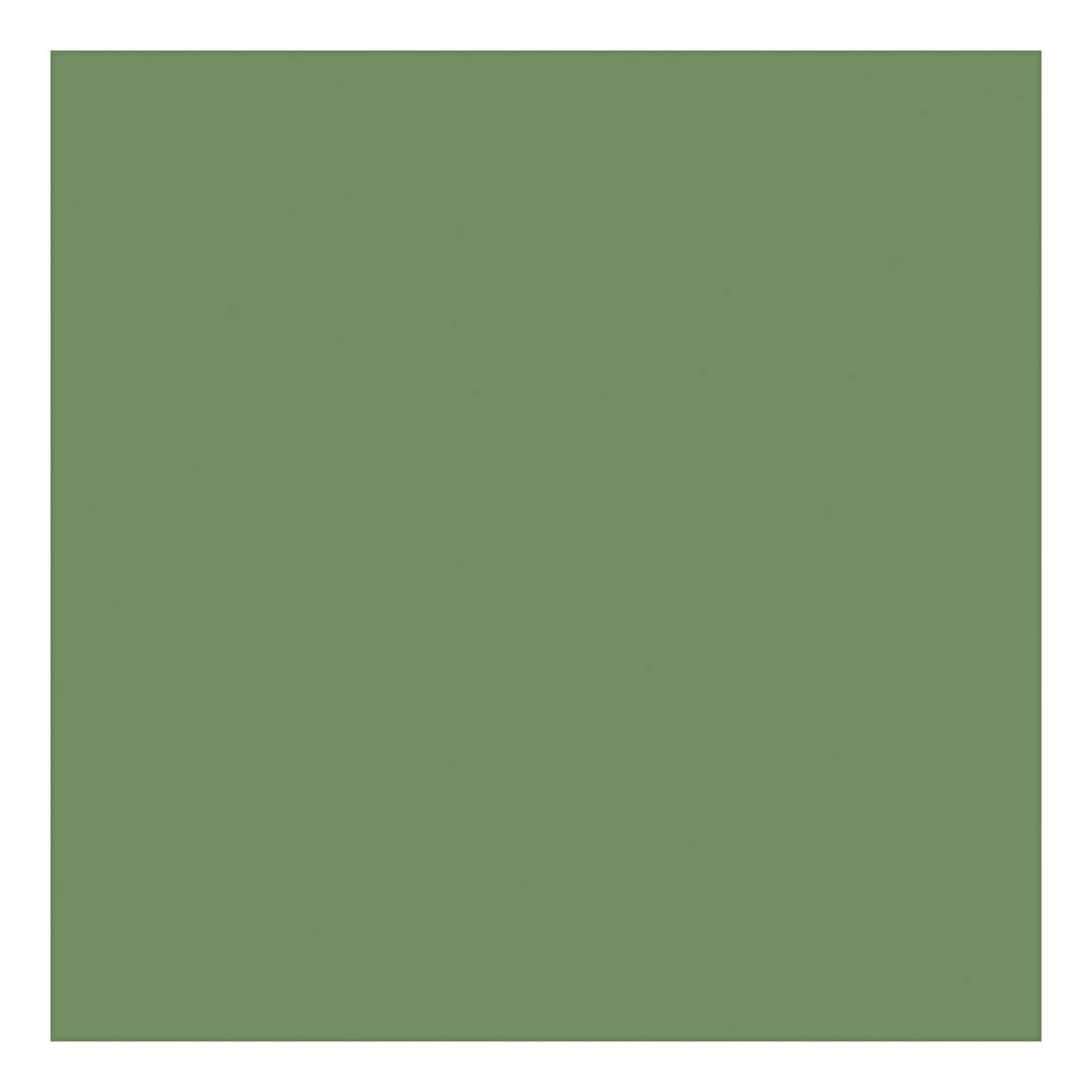 Creativ Company Faint Outdoor Paint - Olive, 250 ml