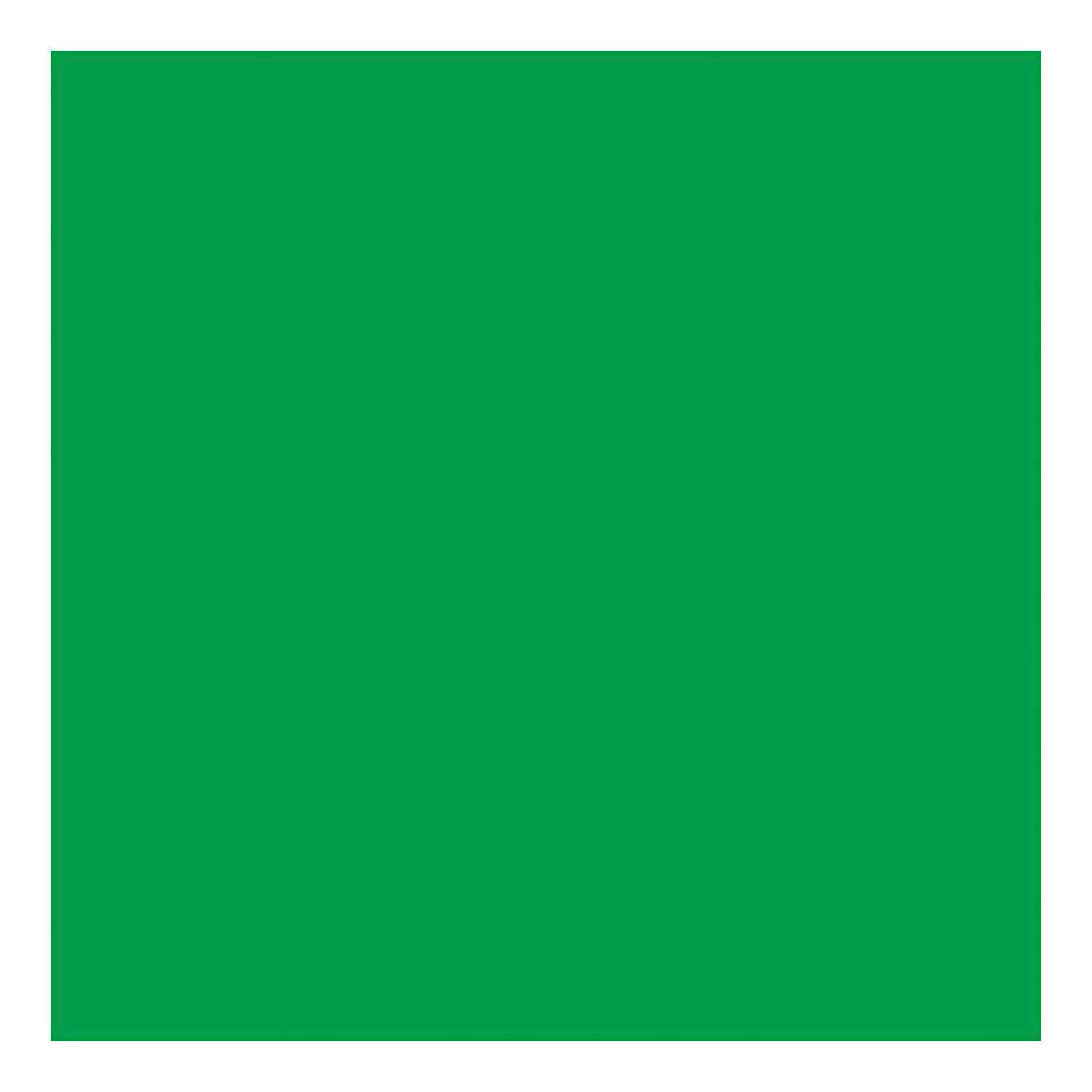 Creativ Company Kolor Tardboard Grass Green 270gr, 100 arkuszy
