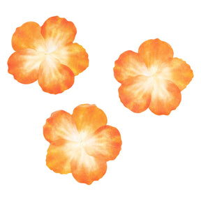 Koloracje - naklejki Waski - pomarańczowe płatki, 80..