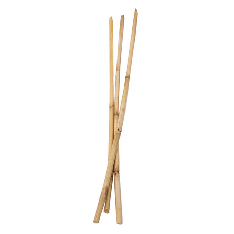 Koloracje - Bamboo Sticks 50 cm, 3.
