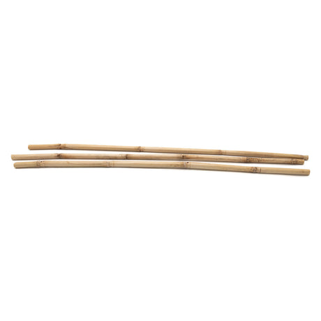 Koloracje - Bamboo Sticks 50 cm, 3.