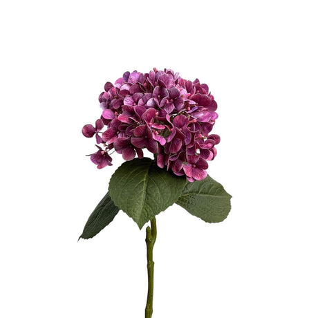Hortensja ze sztucznych kwiatów z kolekcji Roberts Real Touch 75cm fioletowa