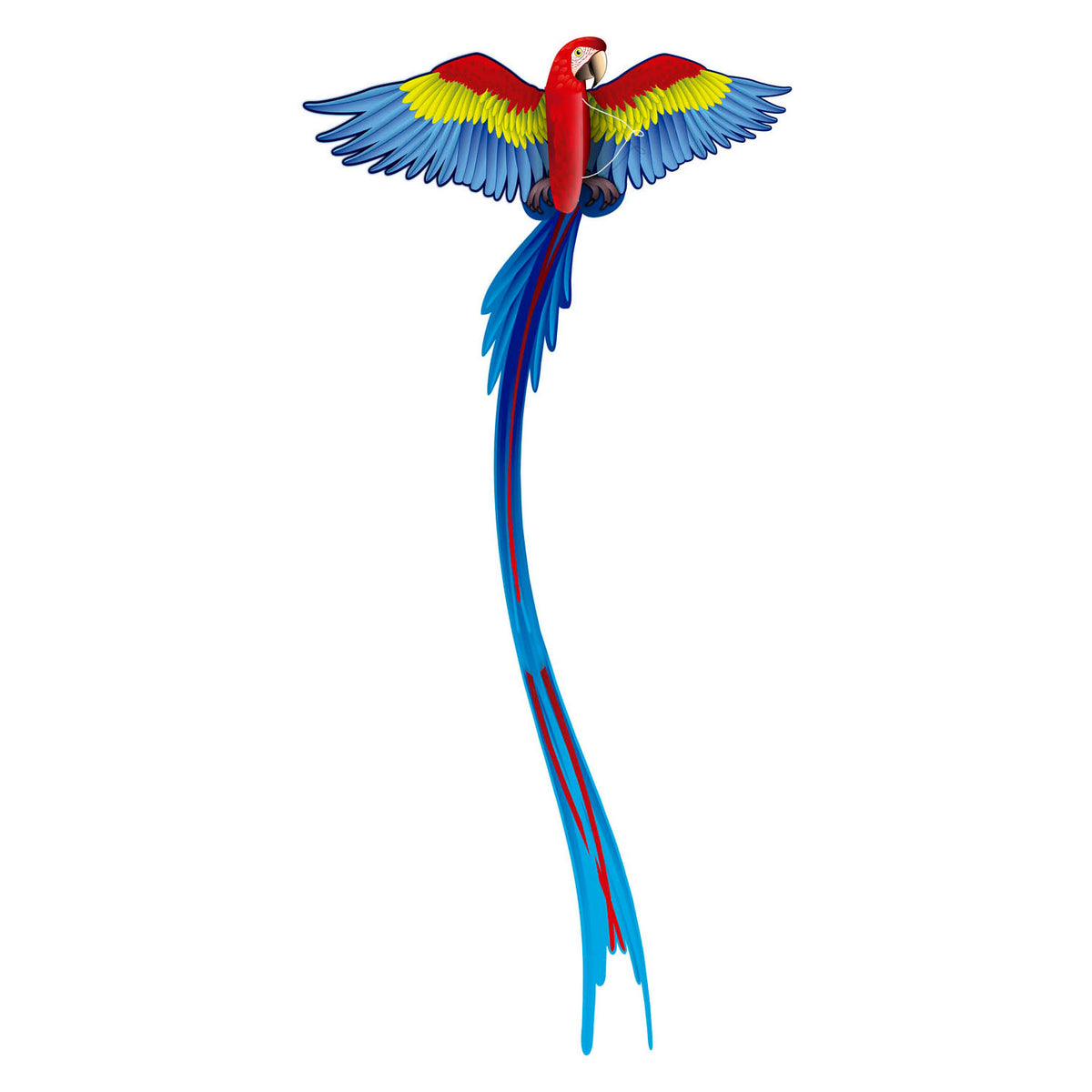 Latawce Ready 2 Fly - Pop -up 3D Vater Papegaai