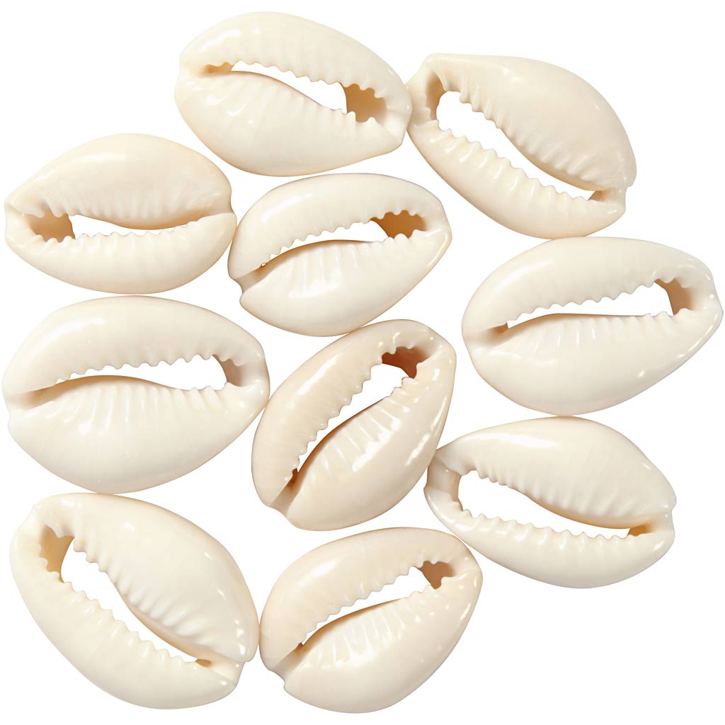 Firma Creativ https: www.cchobby.nl muszle-l-20-mm-12-piece-1-box