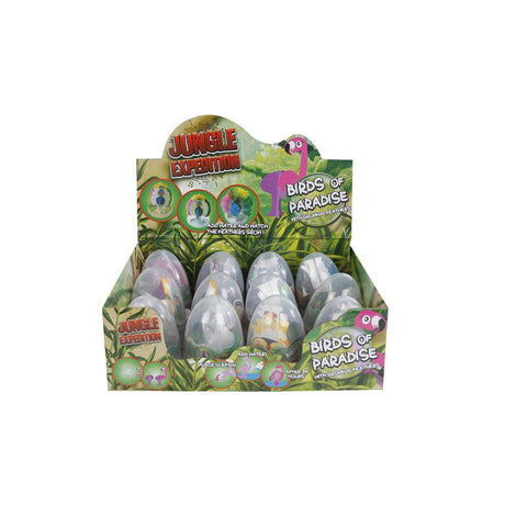 Wyprawa do dżungli magiczne rajskie ptaki w jajku 8,5cm