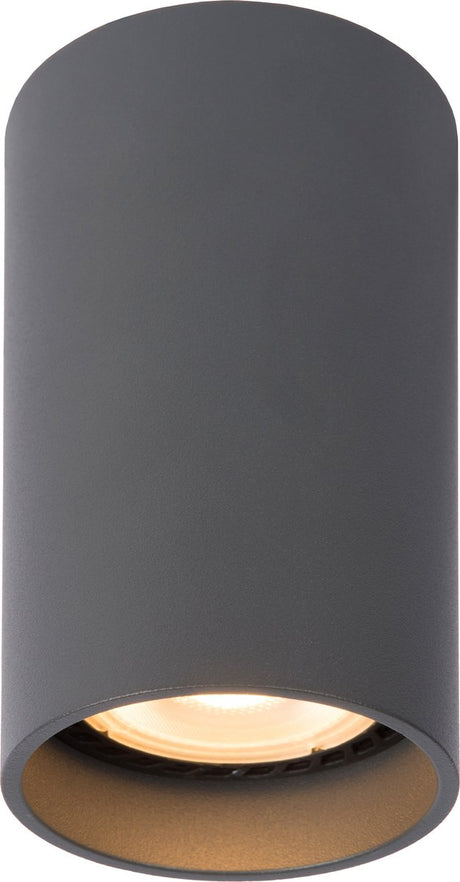 Lucide delto - reflektor sufitowy (lampa sufitowa) - ø 5,5 cm - dioda ściemniająca się na ciepłą - gu10 (mr16) - 1x5w 2200k 3000k - szary