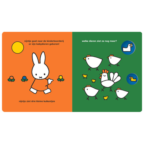 Centralna księgarnia Miffy w małym zoo