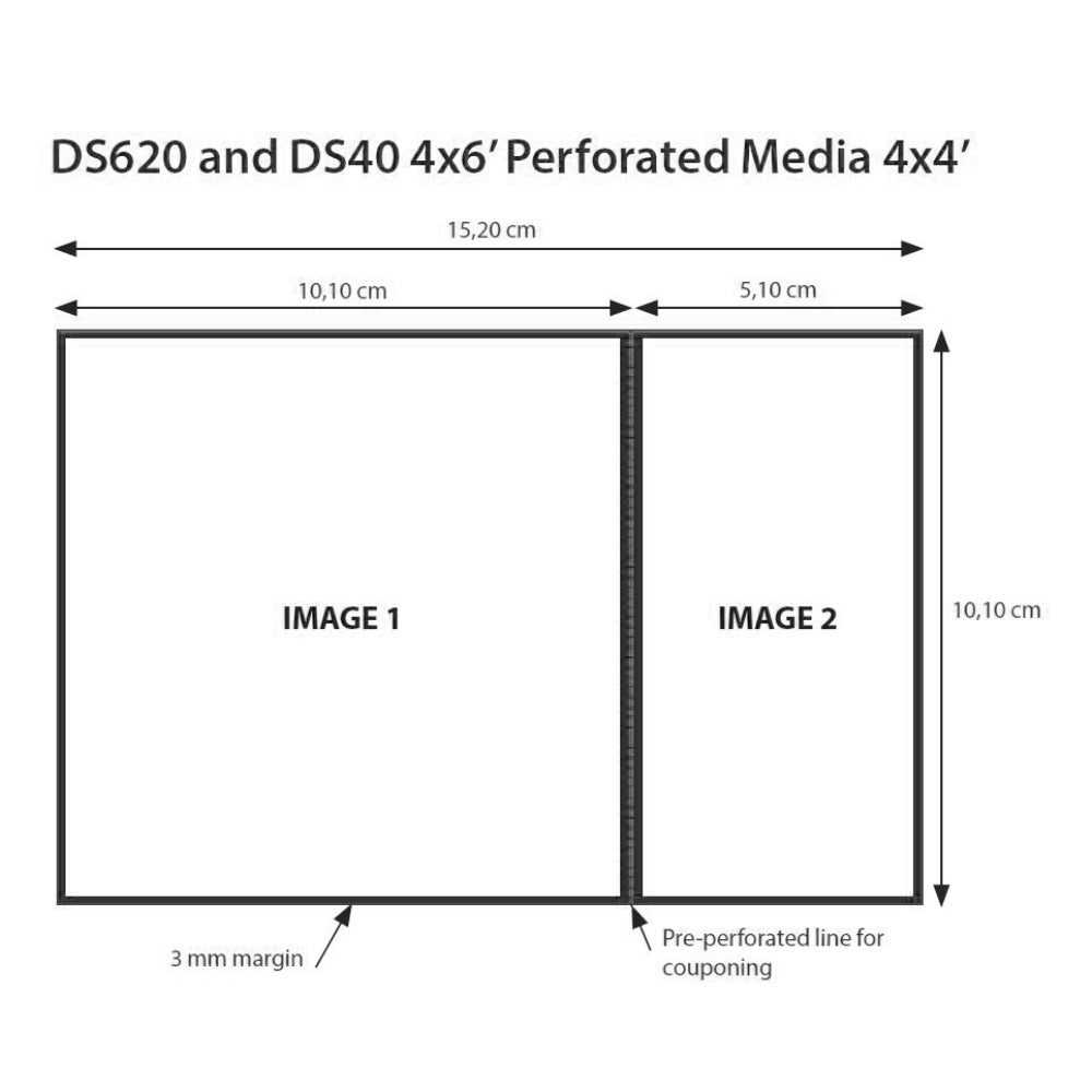DNP Paper 2 Roll � 400 St. 10x15 perforowany przy 10x10 cm dla DS620