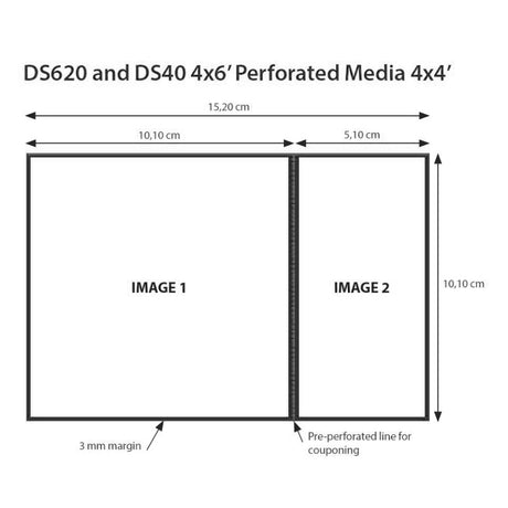 DNP Paper 2 Roll � 400 St. 10x15 perforowany przy 10x10 cm dla DS620