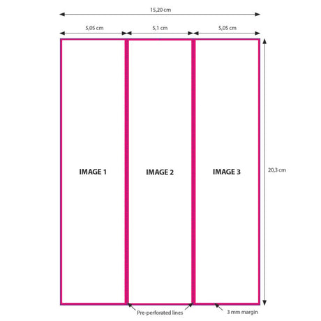 DNP Paper 2 Roll � 200 St. 15x20 perforowany na 5x20 i 10x20 cm dla DS620