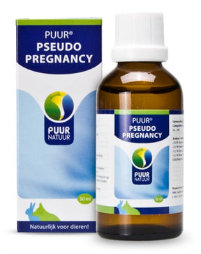Czysta natura pseudopregnancy Schijn w ciąży