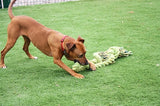 Lina holownicza Happy Pet typu king-size