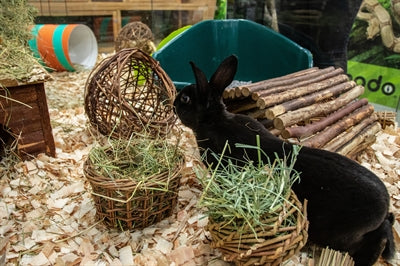 Nature First Happy Pet - stojak na siano z wierzby