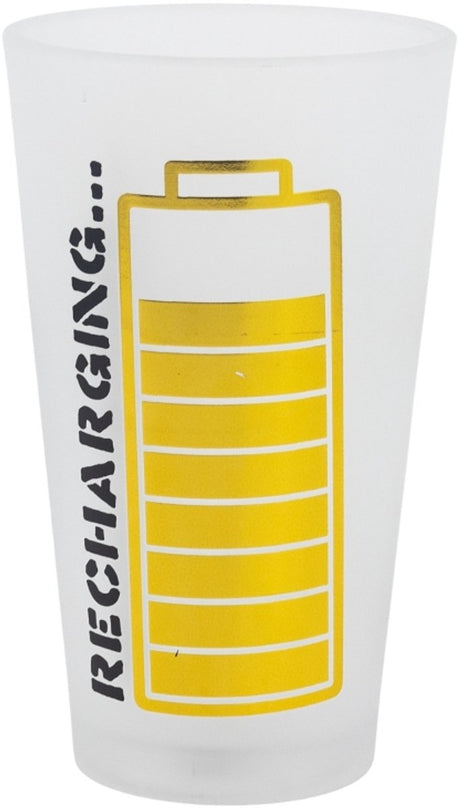 Pokémon pokemon glazen 2 stuks 480ml