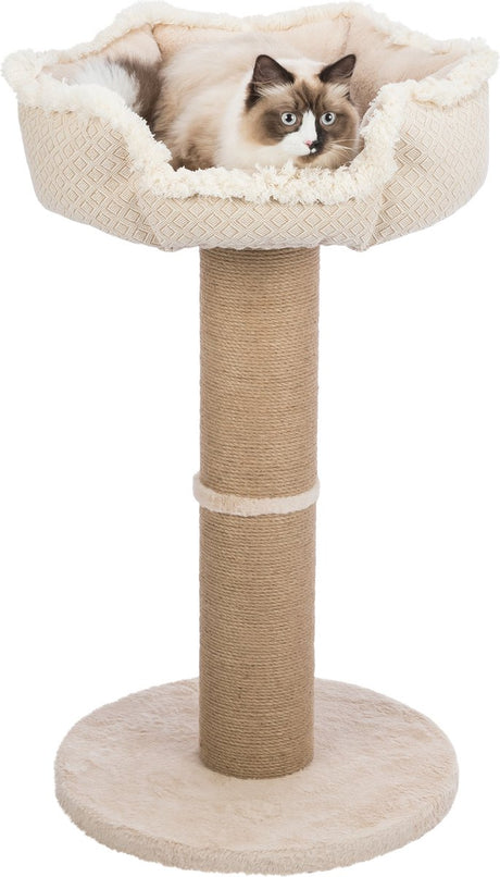 Trixie zarysowanie post boho beige