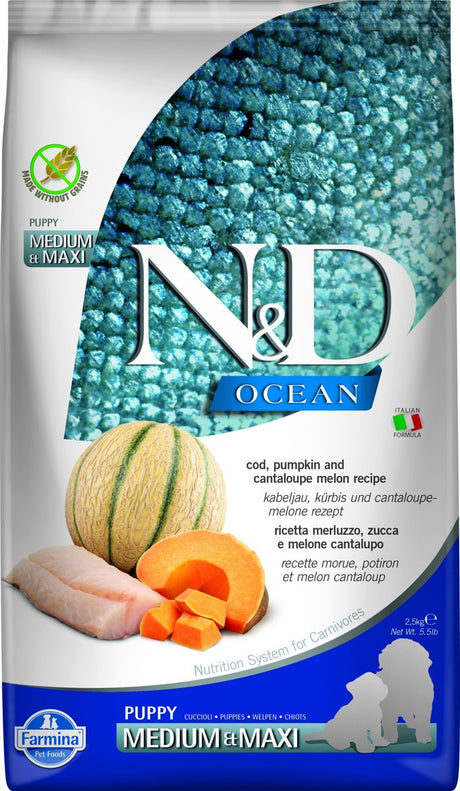 N d ocean karma dla szczeniąt dorsz z dynią średnia maxi 2,5 kg