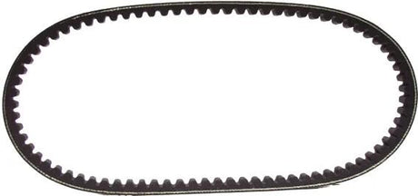 Pasek klinowy Malossi usztywniony, najszerszy 18,8x814mm
