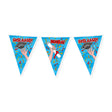 Paperdreams party vlag - geslaagd school cartoon