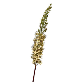 Kolekcja Roberts sztuczny kwiat eremurus pustynny ogon 106cm kremowy