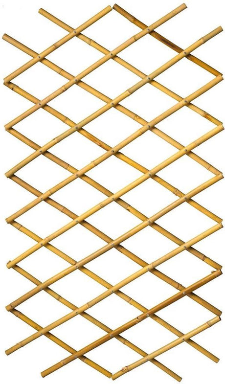 Nature - bambusowa drabinka wspinaczkowa (rozciągliwa) - 70cm x 1,8m - dł