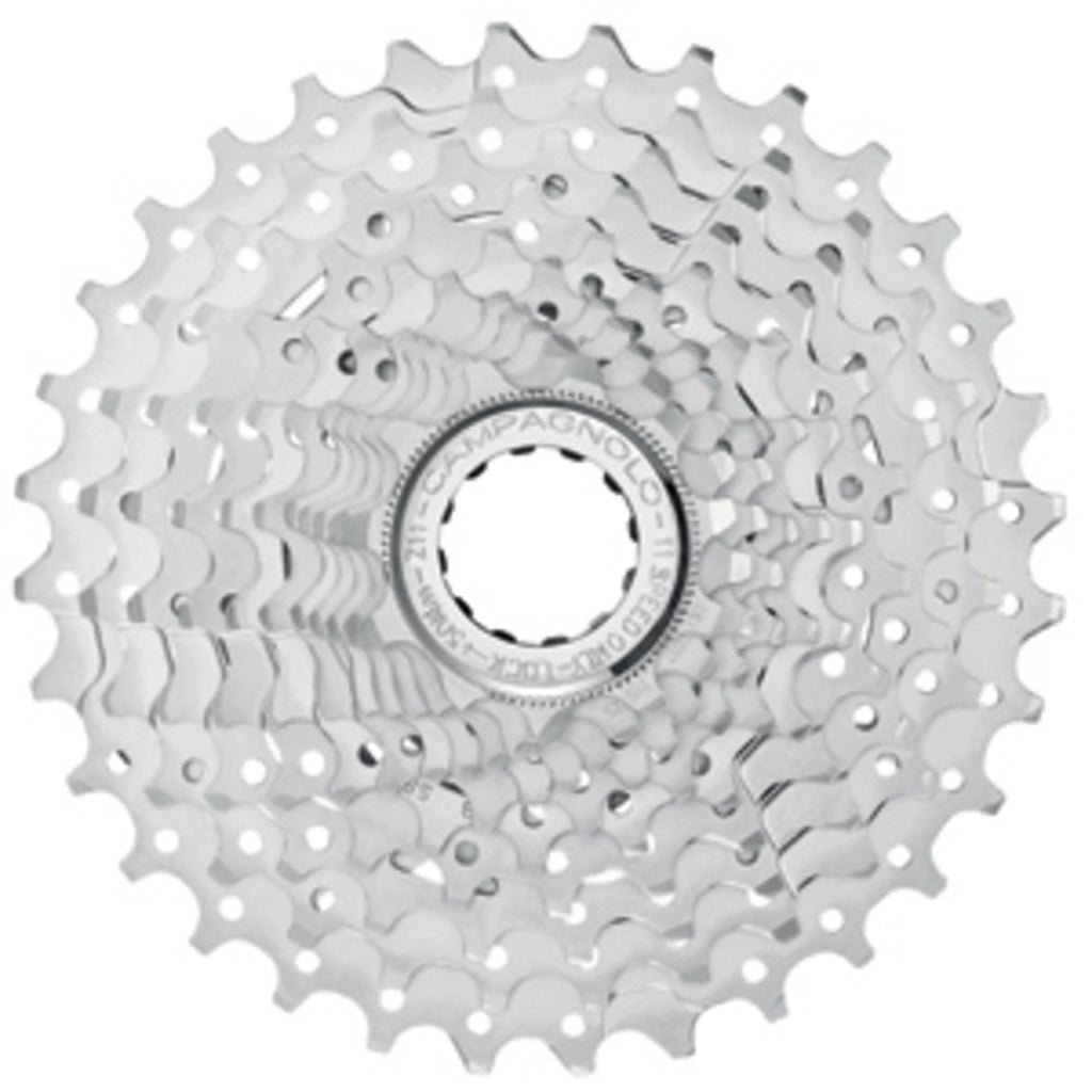 Potencjalna kaseta Campagnolo