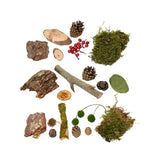 Decoris naturalna mieszanka mchu jagody pomarańczowa