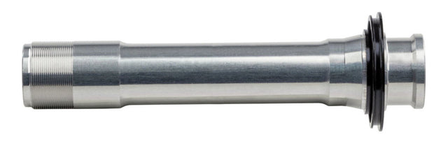 Piasta Campagnolo ca oś v alm db fh-bo011
