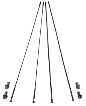 Zestaw szprych Campagnolo Bora WTO 33