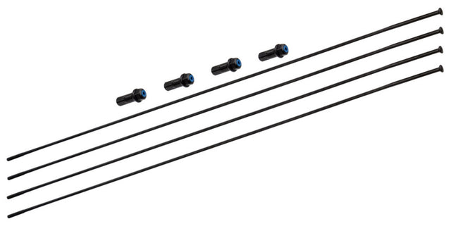 Zestaw szprych Campagnolo Bora WTO 33