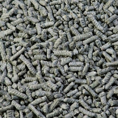 Roślina okrywowa Back-2-Nature poddana recyklingowi