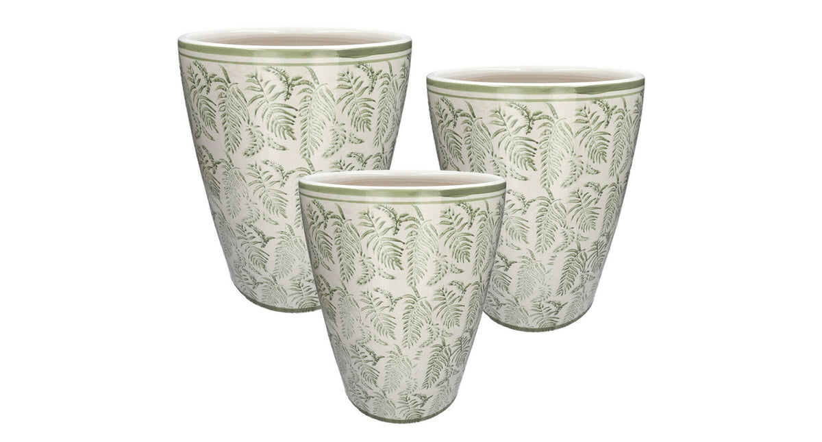 Set 3 pot daphne d42xh53 light green