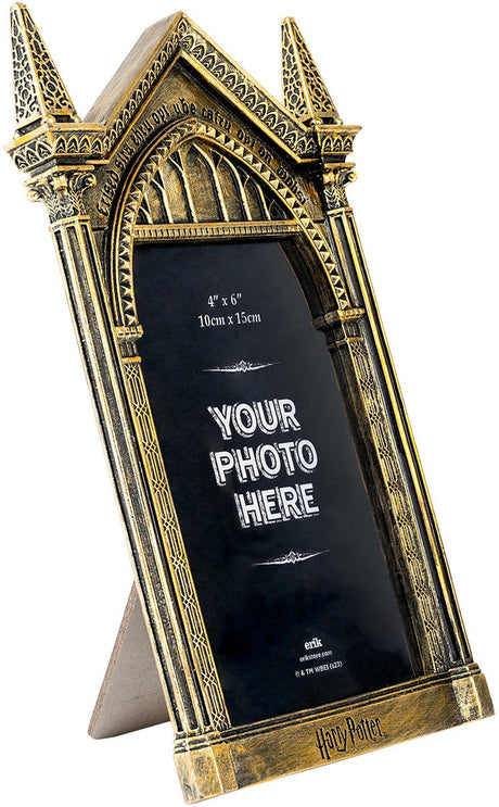Grupo erik harry potter - mirror of erised 3d fotolijst - multicolours